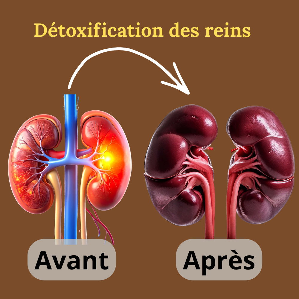 Retrouvez énergie, vitalité et confiance naturellement